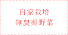 自家栽培無農薬野菜