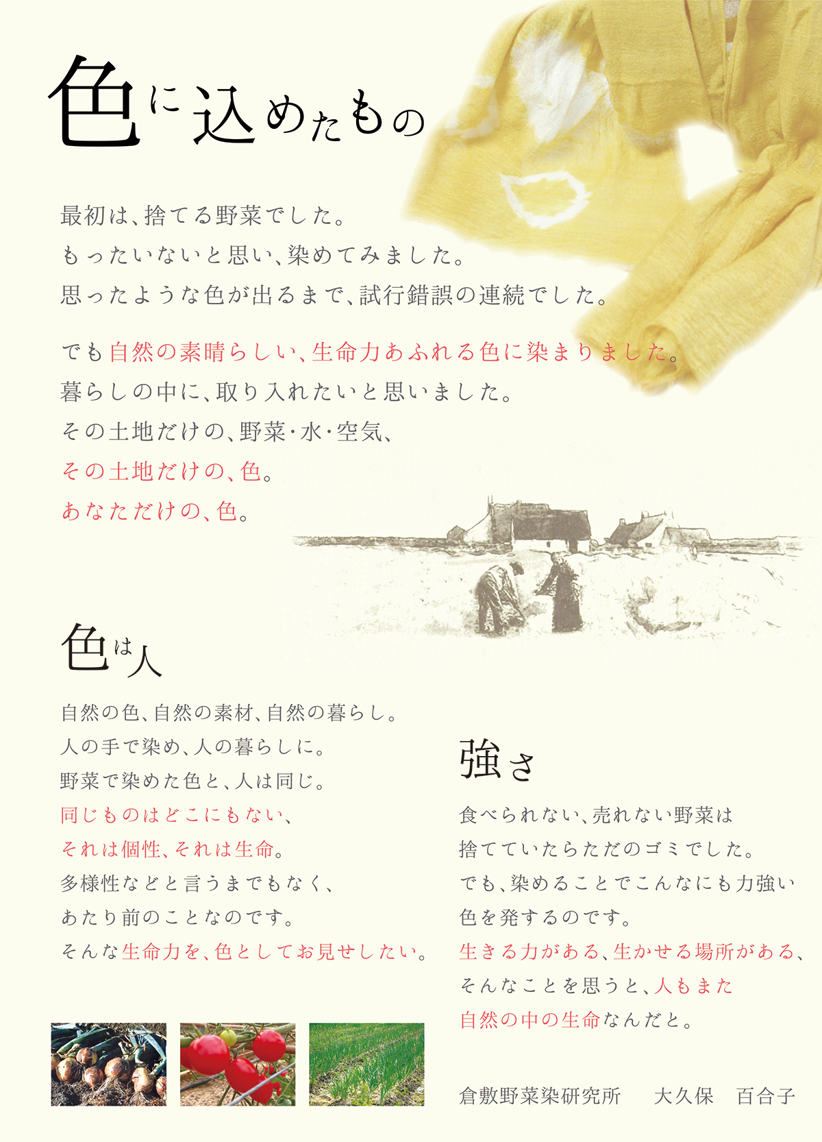 倉敷野菜染研究所｜色に込めたもの